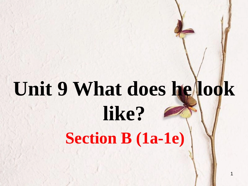 （安徽专版）七年级英语下册 Unit 9 What does he look like Section B（第1课时）教学课件 （新版）人教新目标版_第1页