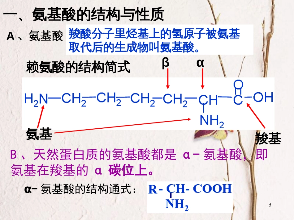 广东省中山市高中化学 第四章 生命中的基础有机化学物质 4.3 蛋白质核酸课件 新人教版选修5_第3页