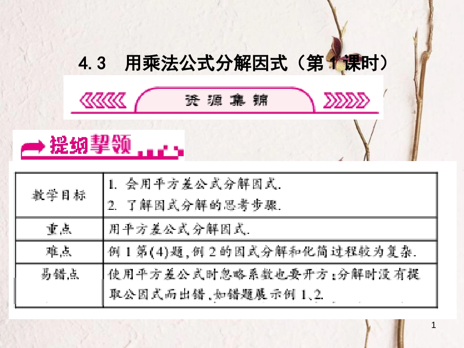 浙江省嘉兴市秀洲区七年级数学下册 第四章 因式分解 4.3 用乘法公式分解因式（第1课时）习题课件 （新版）浙教版_第1页