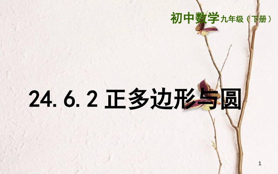 上海市金山区山阳镇九年级数学下册 24.6 正多边形与圆 24.6.2 正多边形与圆课件 （新版）沪科版_第1页