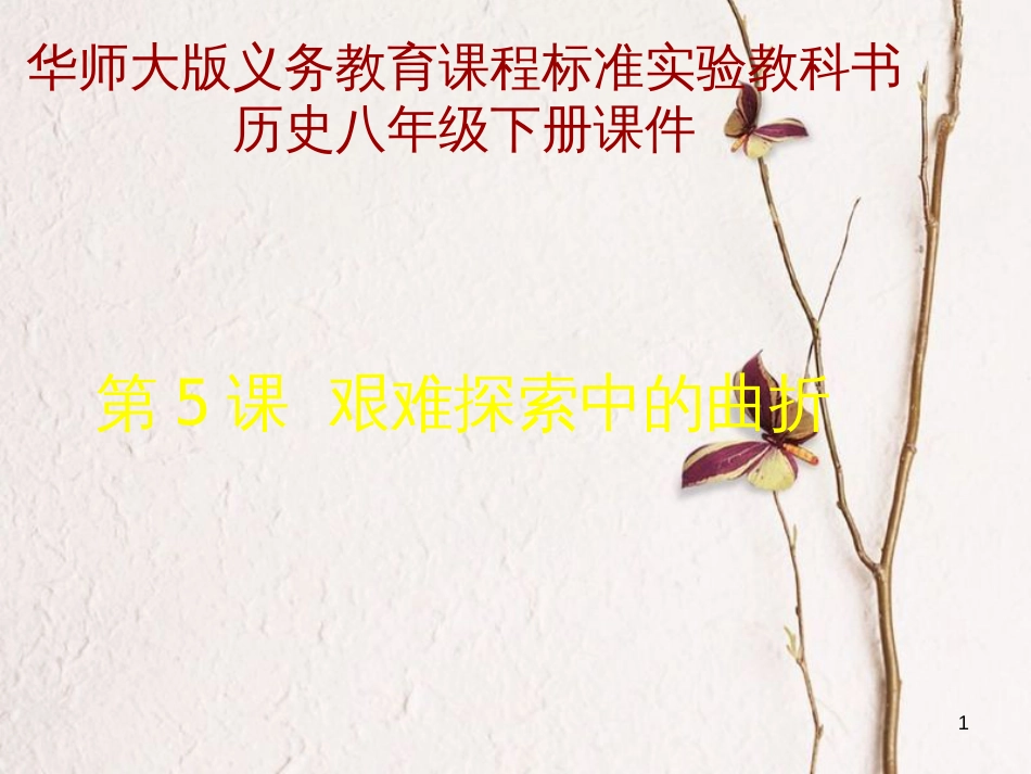 八年级历史下册 第二单元 社会主义道路的探索 第五课《艰难探索中的曲折》课件2 华东师大版_第1页