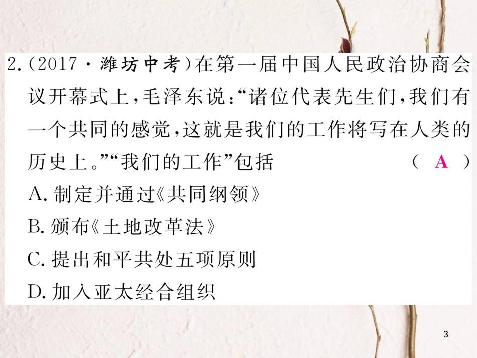 八年级历史下册 第一单元 中华人民共和国的成立与巩固热点回顾习题课件 岳麓版_第3页