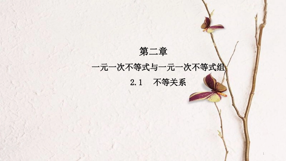 八年级数学下册 第二章 一元一次不等式和一元一次不等式组 2.1 不等关系导学课件 （新版）北师大版_第1页