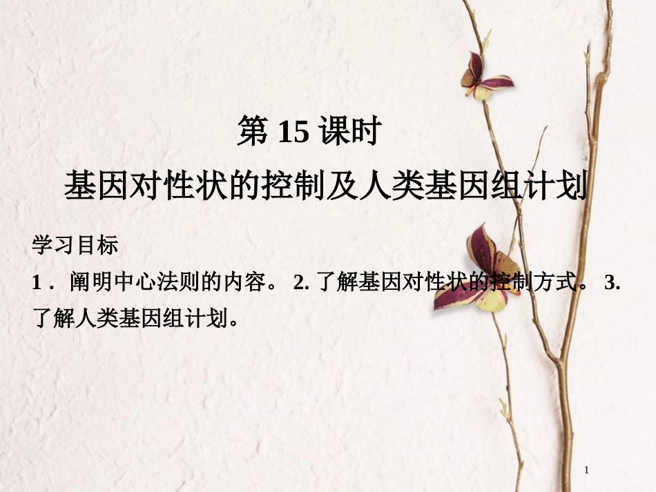 高中生物 第四章 遗传的分子基础 第15课时 基因对性状的控制及人类基因组计划课件 苏教版必修2_第1页