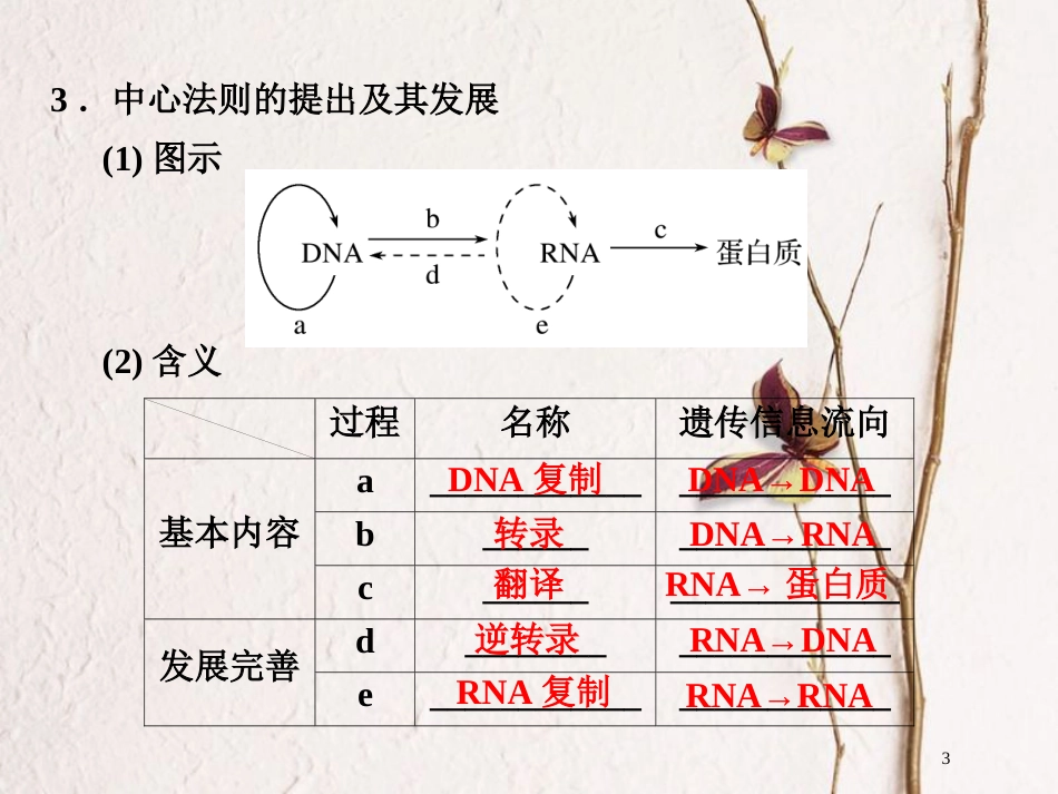 高中生物 第四章 遗传的分子基础 第15课时 基因对性状的控制及人类基因组计划课件 苏教版必修2_第3页