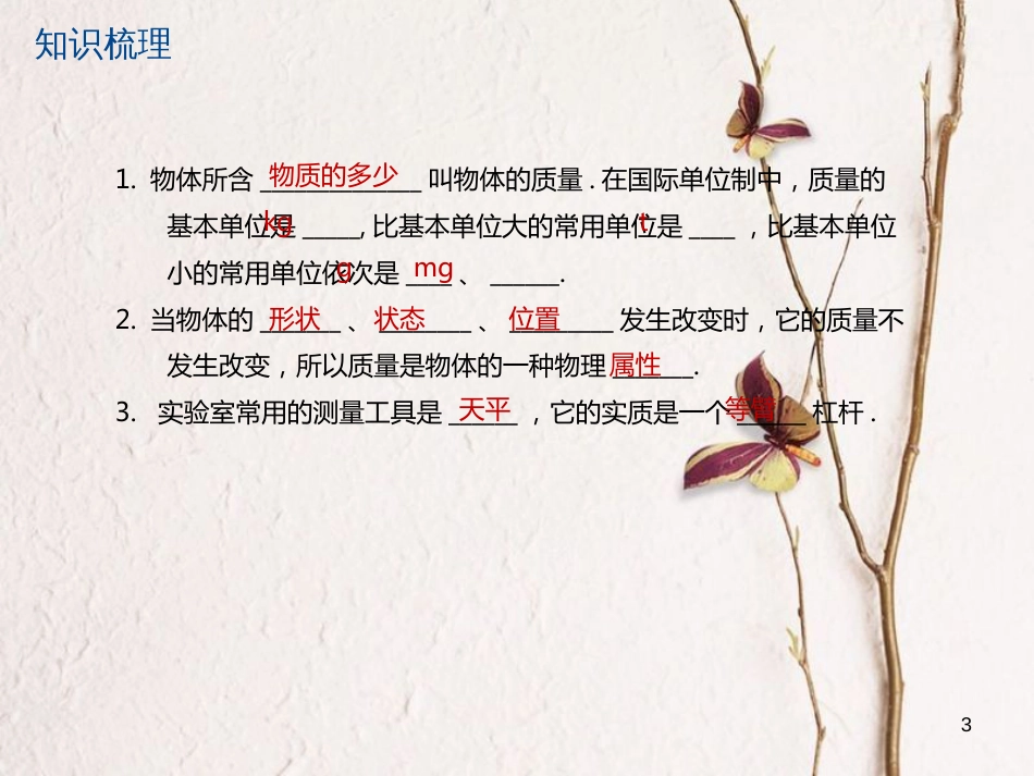 江苏省大丰市中考物理第11课时物体的质量密度复习课件_第3页