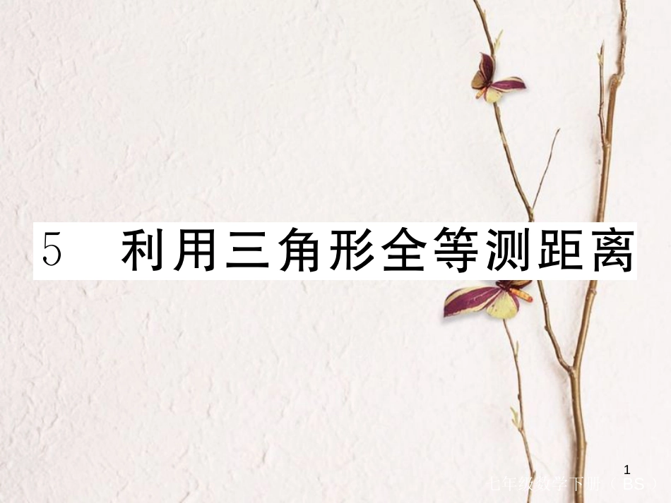 七年级数学下册 第四章 三角形 4.5 利用三角形全等测距离练习课件 （新版）北师大版_第1页