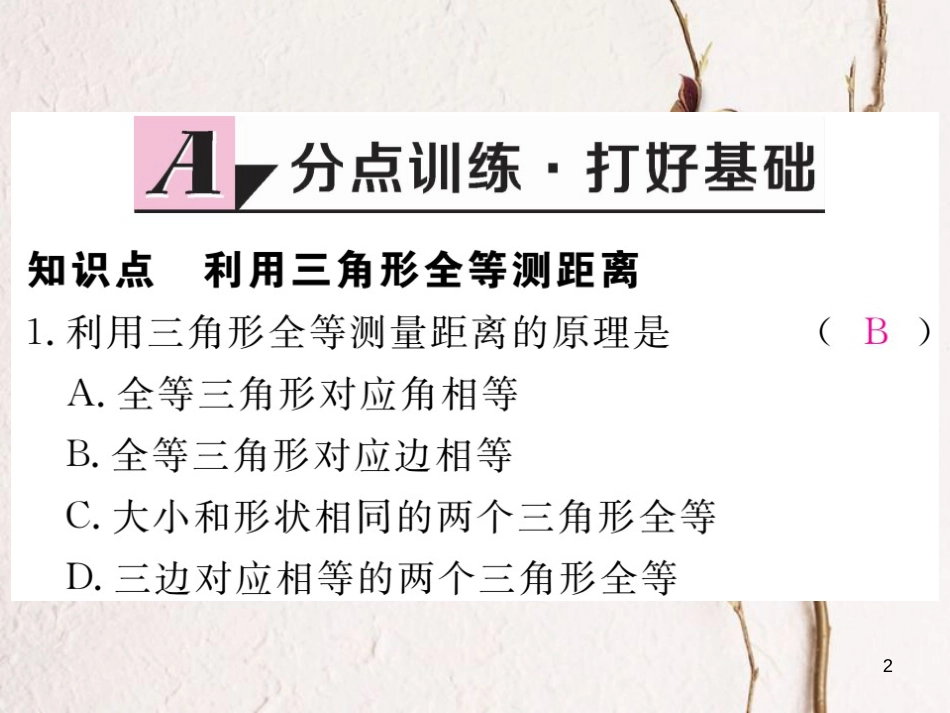 七年级数学下册 第四章 三角形 4.5 利用三角形全等测距离练习课件 （新版）北师大版_第2页