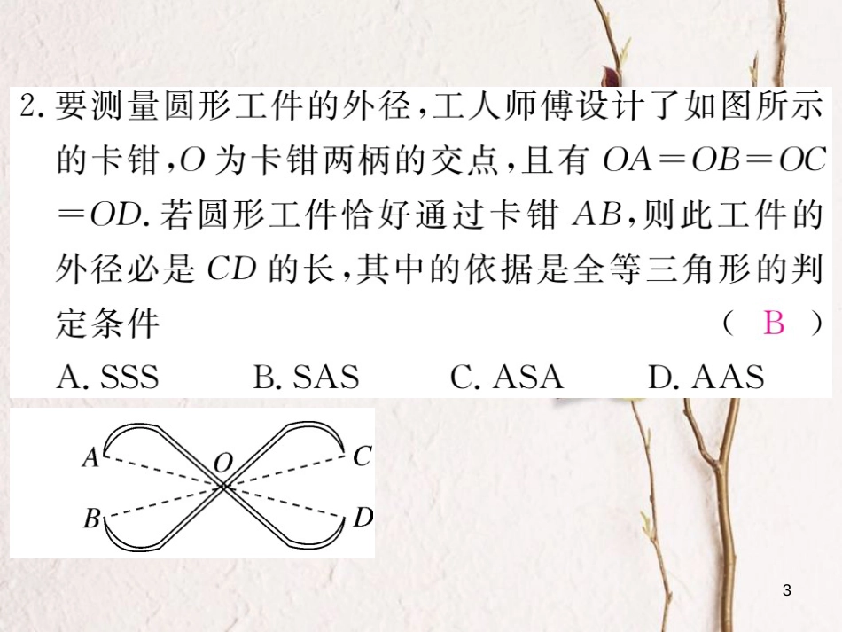 七年级数学下册 第四章 三角形 4.5 利用三角形全等测距离练习课件 （新版）北师大版_第3页