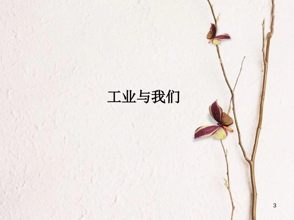 八年级地理上册 第4章 第二节《持续协调发展工业》课件2 （新版）商务星球版_第3页