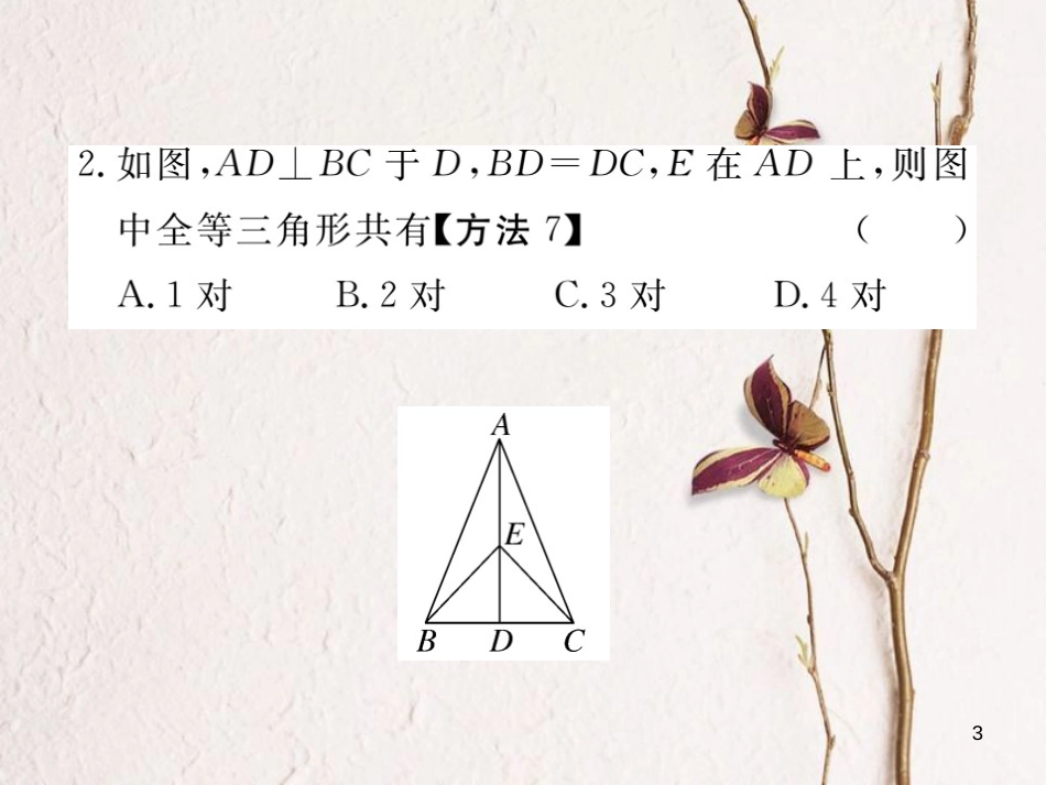 （贵州专用）八年级数学上册 12.2 三角形全等的判定 第2课时“边角边”课件 （新版）新人教版_第3页