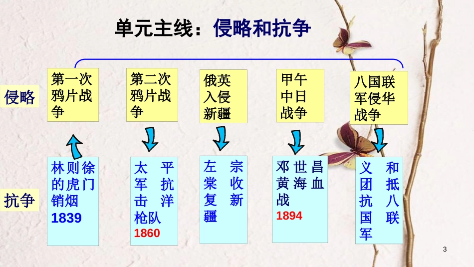 山东省惠民县大年陈镇中考历史一轮复习 列强的侵略和中国人民的抗争课件 北师大版_第3页