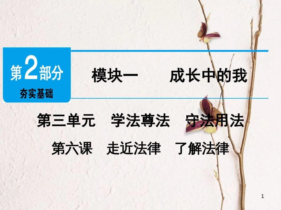 广东省年中考政治 第2部分 夯实基础 模块一 成长中的我 第三单元 学法尊法 守法用法 第6课 走近法律 了解法律精讲课件_第1页