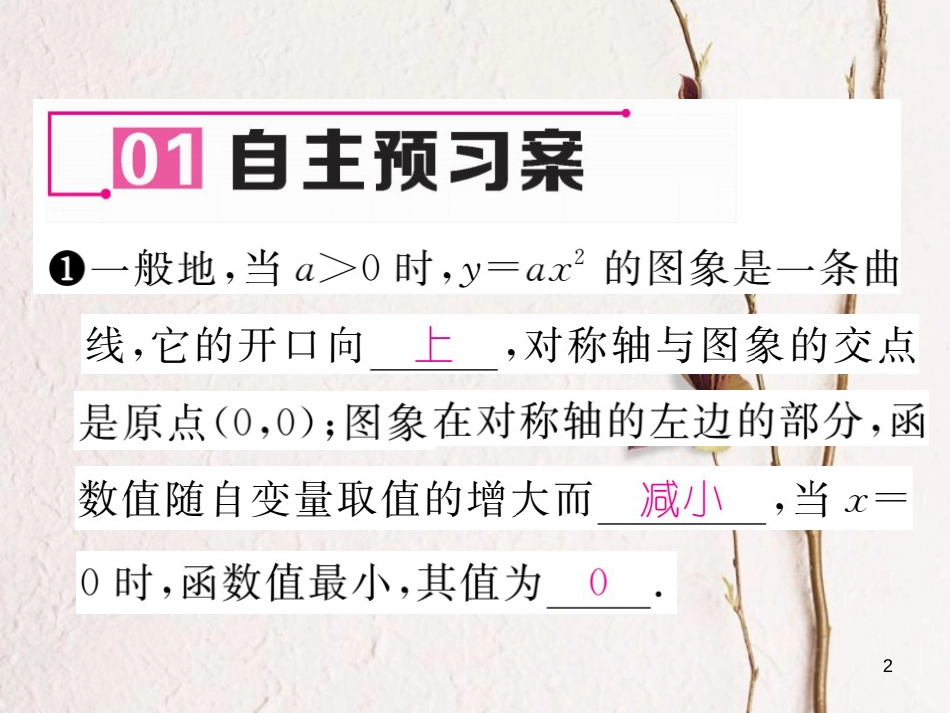 九年级数学下册 第1章 二次函数 1.2 二次函数的图象与性质第1课时作业课件 （新版）湘教版_第2页