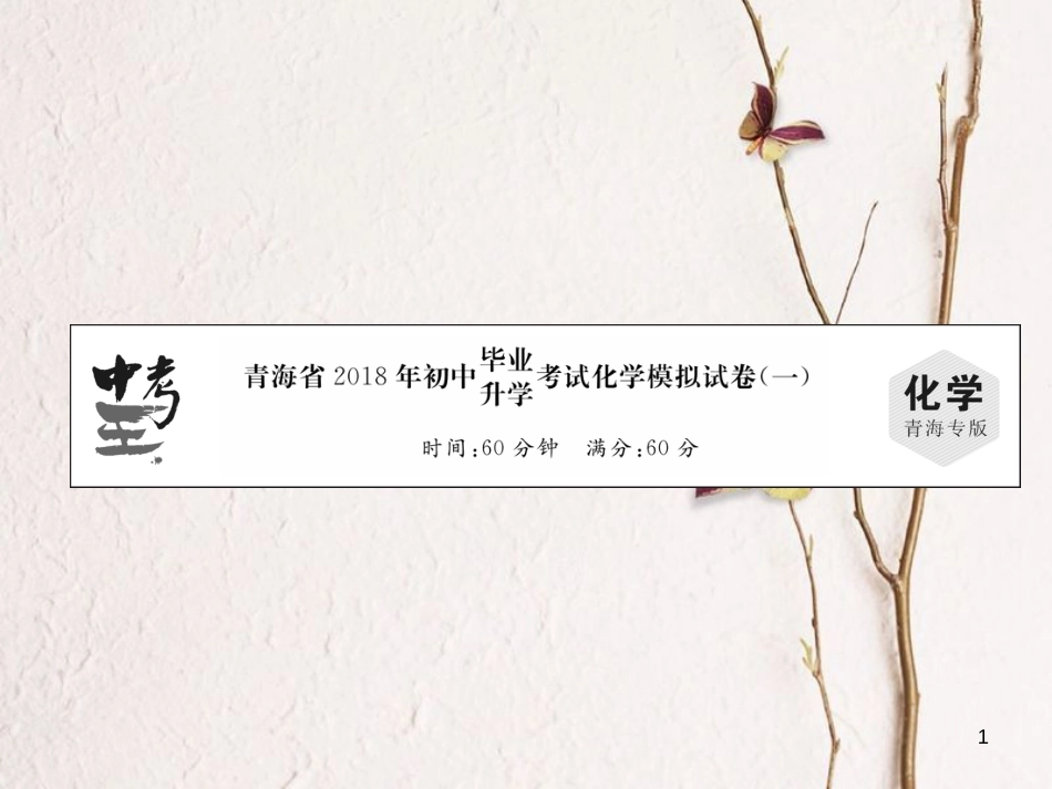 （青海专版）中考化学总复习 毕业升学考试模拟试卷（一）课件_第1页