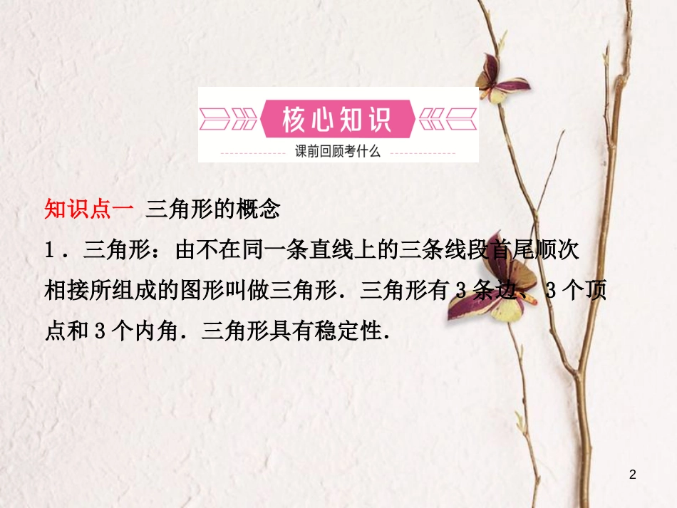 河北省中考数学总复习 第四章 几何初步与三角形 第二节 三角形与全等三角形课件_第2页