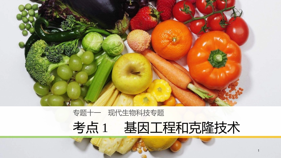 （浙江选考）高三生物二轮专题复习 专题十一 现代生物科技专题 考点1 基因工程和克隆技术课件 新人教版_第1页