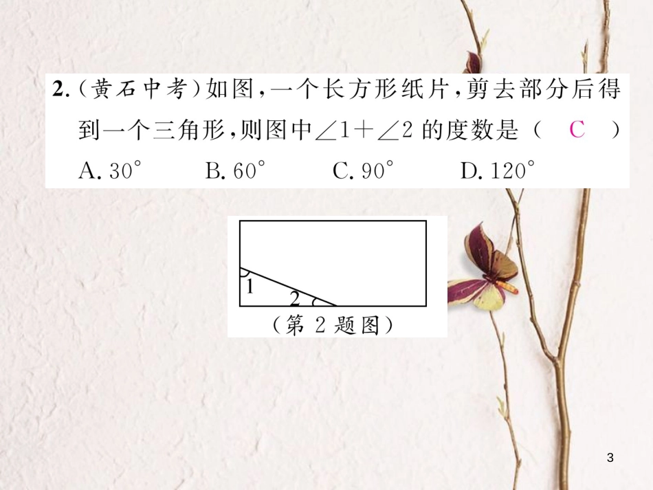 七年级数学下册 专题五 三角形内角和的应用专练作业课件 （新版）北师大版_第3页