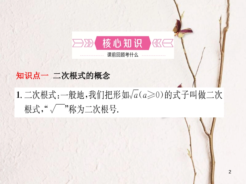 河北省中考数学总复习 第一章 数与式 第四节 二次根式课件_第2页