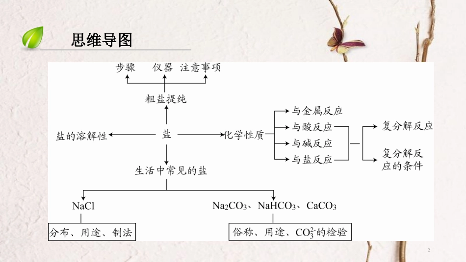 （深圳专用）中考化学总复习 第3部分 身边的化学物质 第13讲 常见的盐和化肥课件 （新版）新人教版_第3页