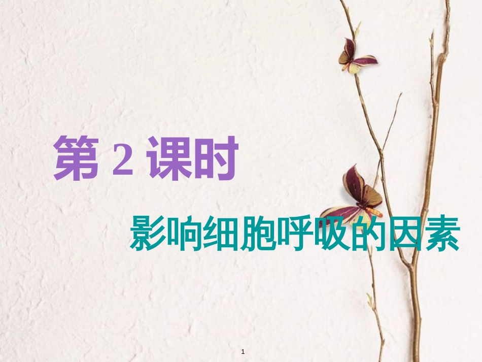 （全国通用版）2019版高考生物一轮复习 第1部分 分子与细胞 第三单元 细胞的能量供应和利用 第2讲 第2课时 影响细胞呼吸的因素精准备考实用课件_第1页