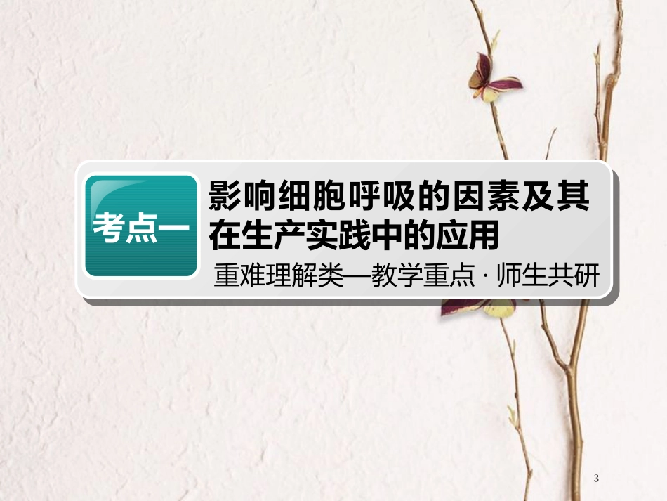 （全国通用版）2019版高考生物一轮复习 第1部分 分子与细胞 第三单元 细胞的能量供应和利用 第2讲 第2课时 影响细胞呼吸的因素精准备考实用课件_第3页