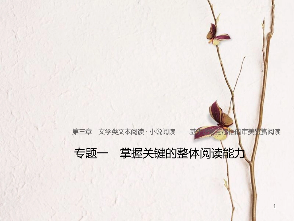 （全国版）2019版高考语文大一轮复习 第三章 文学类文本阅读 小说阅读 专题一 掌握关键的整体阅读能力课件_第1页