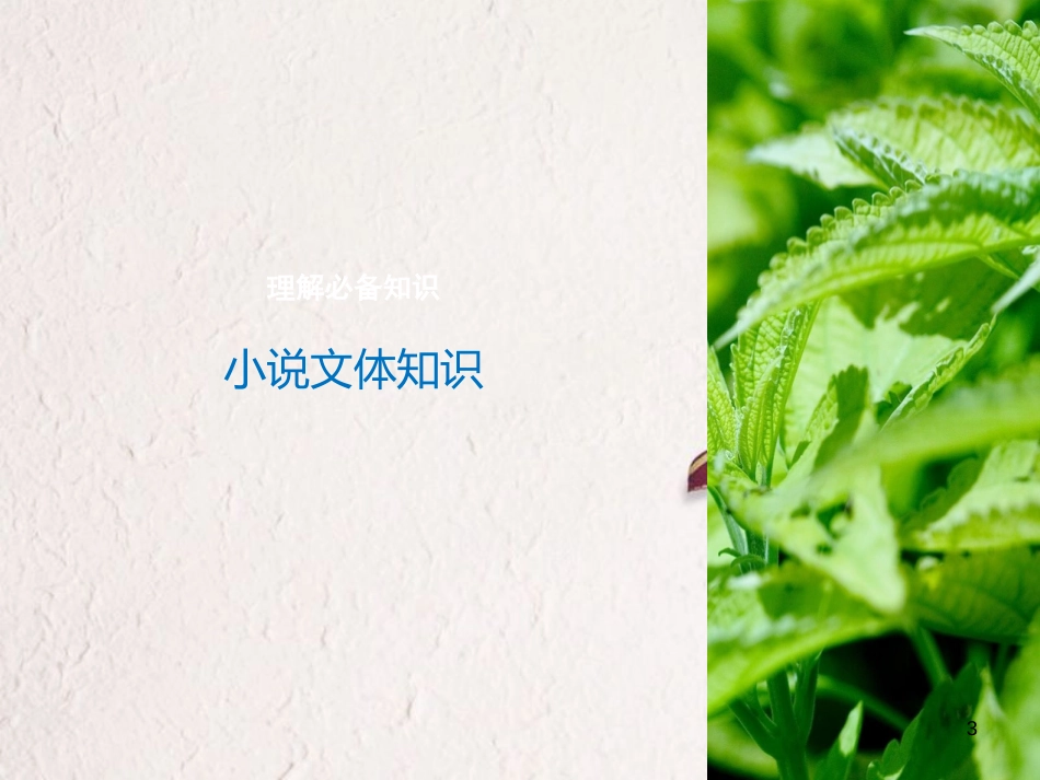 （全国版）2019版高考语文大一轮复习 第三章 文学类文本阅读 小说阅读 专题一 掌握关键的整体阅读能力课件_第3页