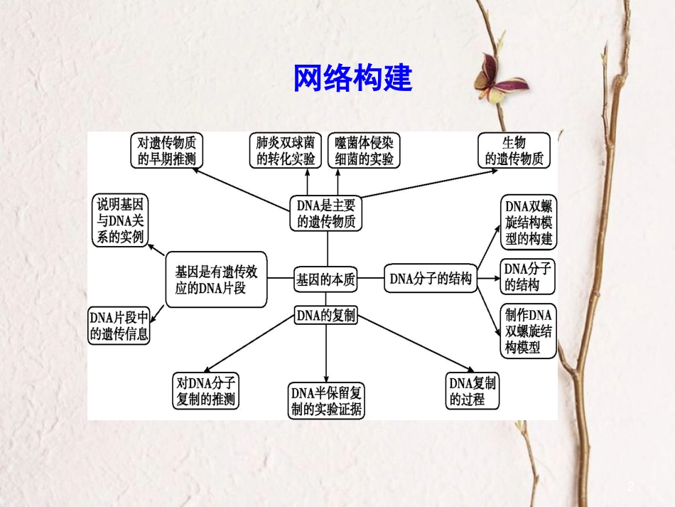 高中生物 第3章 基因的本质章末整合课件 新人教版必修2_第2页