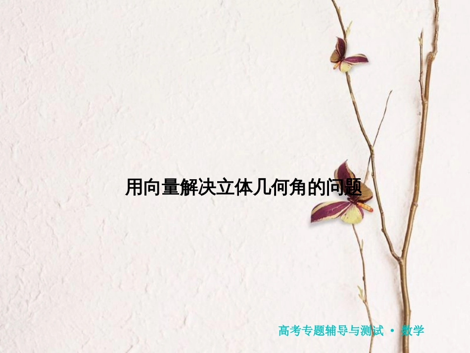 山西省忻州市高考数学专题用向量解决立体几何角的问题2复习课件_第1页