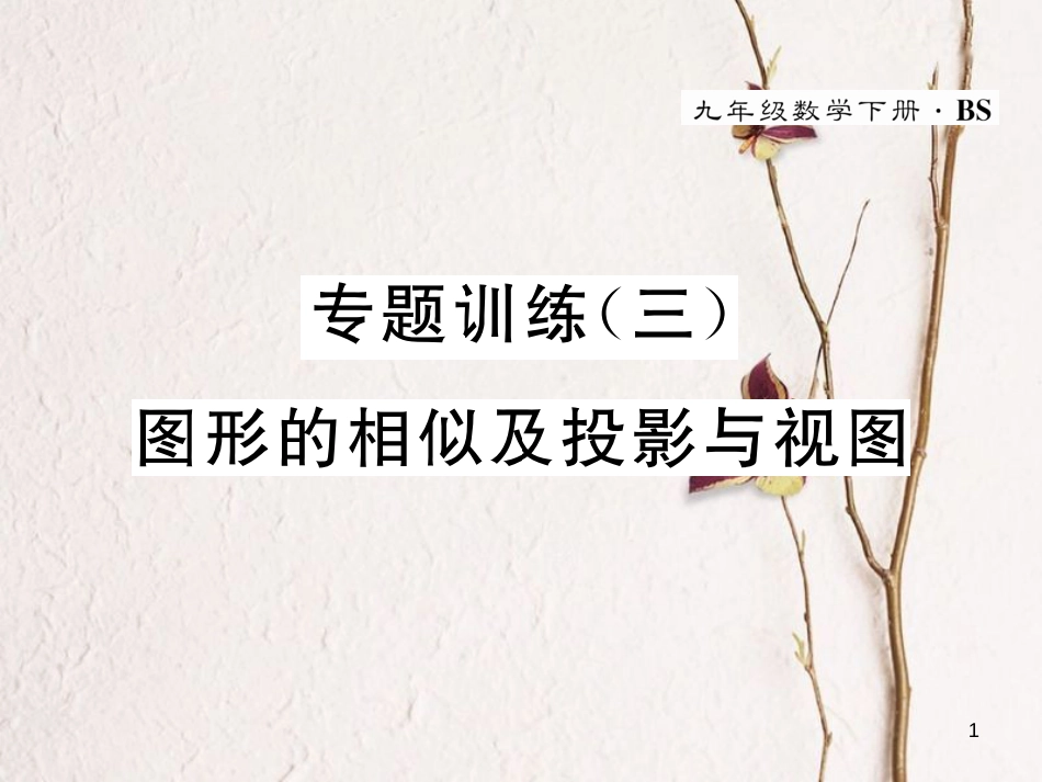 九年级数学下册 专题训练3 图形的相似及投影与视图作业课件 （新版）北师大版_第1页