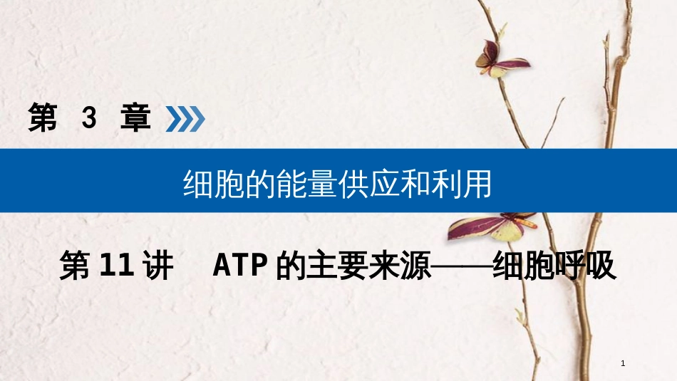 2019版高考生物大一轮复习 第11讲 ATP的主要来源——细胞呼吸优选课件_第1页