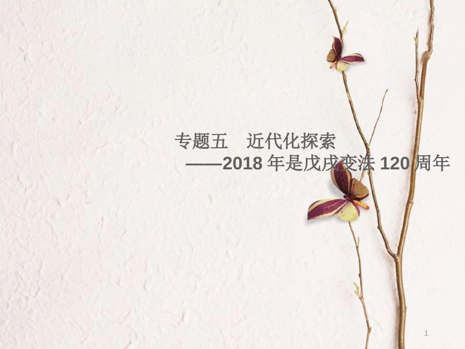 湖南省中考历史总复习专题五近代化探索—是戊戌变法120周年课件新人教版_第1页