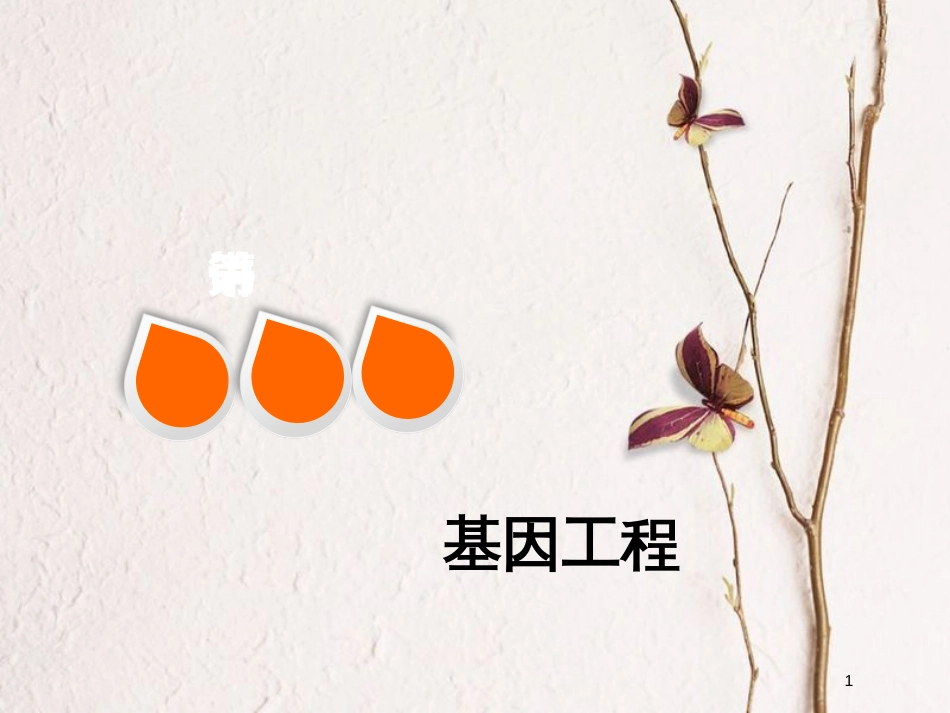 2019版高考生物一轮复习 现代生物科技专题 第一讲 基因工程精选课件_第1页