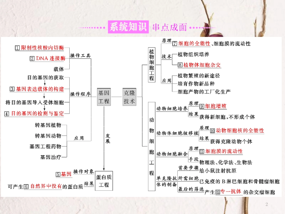 （全国通用）高考生物二轮复习 专题八 现代生物科技专题 第1课时 基因工程与克隆技术课件_第2页