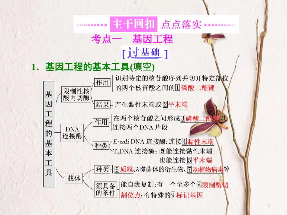 （全国通用）高考生物二轮复习 专题八 现代生物科技专题 第1课时 基因工程与克隆技术课件_第3页