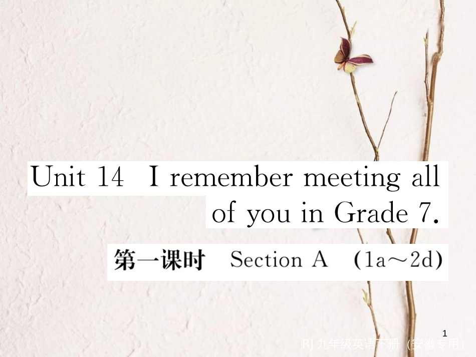 （安徽专版）九年级英语全册 Unit 14 I remember meeting all of you in Grade 7（第1课时）习题课件 （新版）人教新目标版_第1页