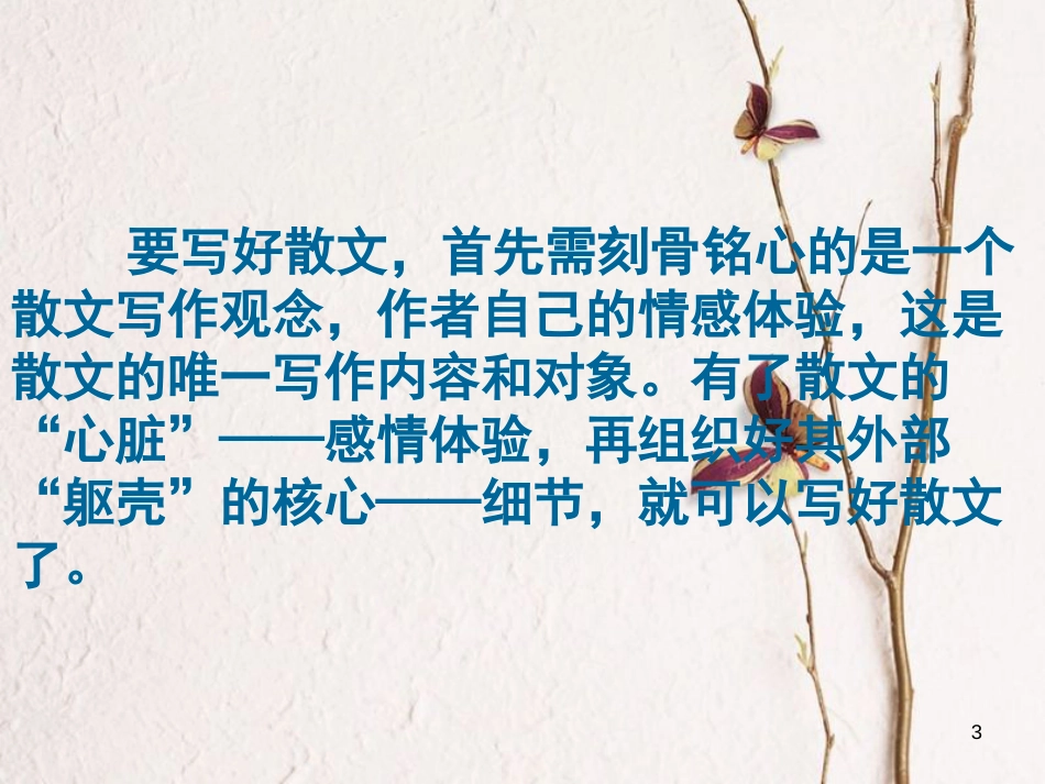 八年级语文下册 第八单元（记叙性散文写作方法指导）作文指导课件 新人教版_第3页