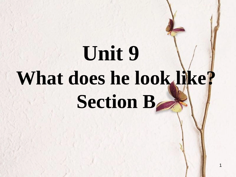 七年级英语下册 口头表达专练 Unit 9 What does he look like Section B课件 （新版）人教新目标版_第1页