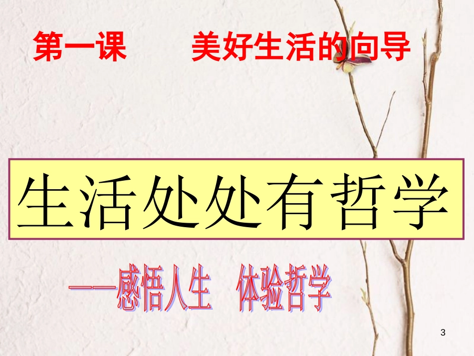 广东省揭阳市高中政治 第一课 美好生活的向导 第一框 生活处处有哲学课件 新人教版必修4_第2页