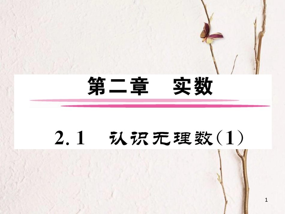 （成都专版）八年级数学上册 2.1 认识无理数（1）习题课件 （新版）北师大版_第1页