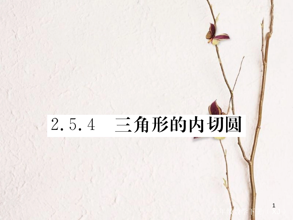 九年级数学下册 2.5 直线与圆的位置关系 2.5.4 三角形的内切圆作业课件 （新版）湘教版_第1页