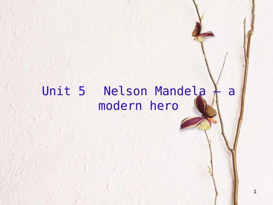 （新课标）高三英语一轮复习 Unit 5 Nelson Mandela-a modern hero课件 新人教版必修1_第1页