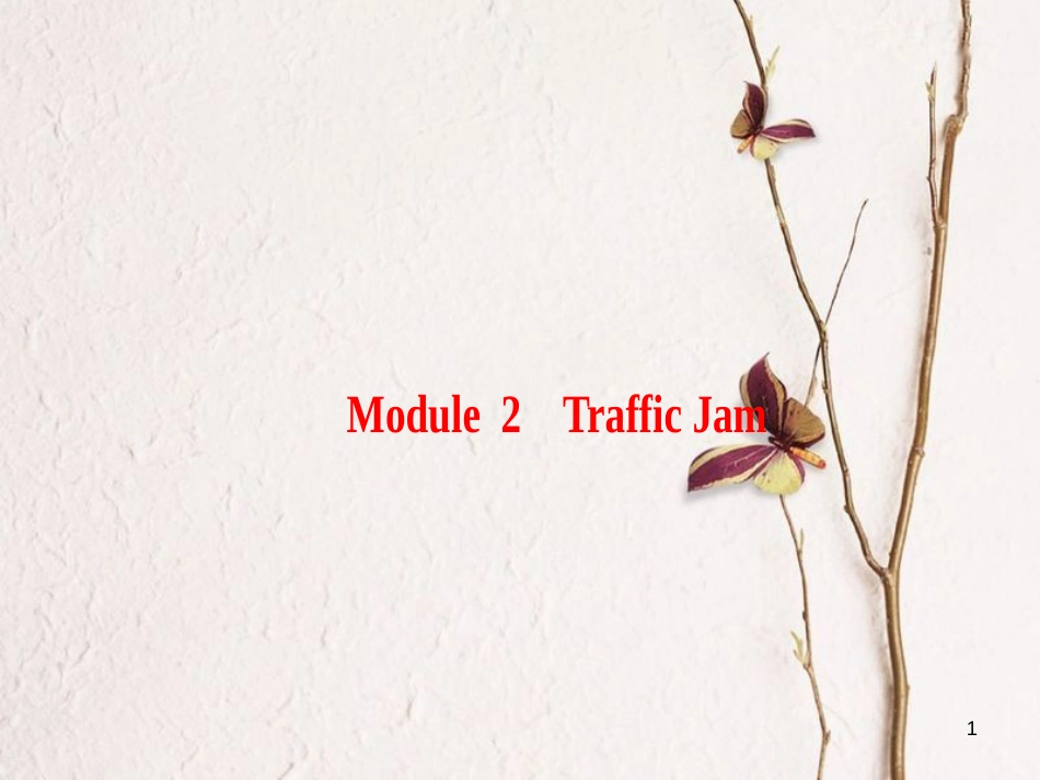 2019版高三英语一轮复习 Module 2 Traffic Jam课件 外研版必修4_第1页