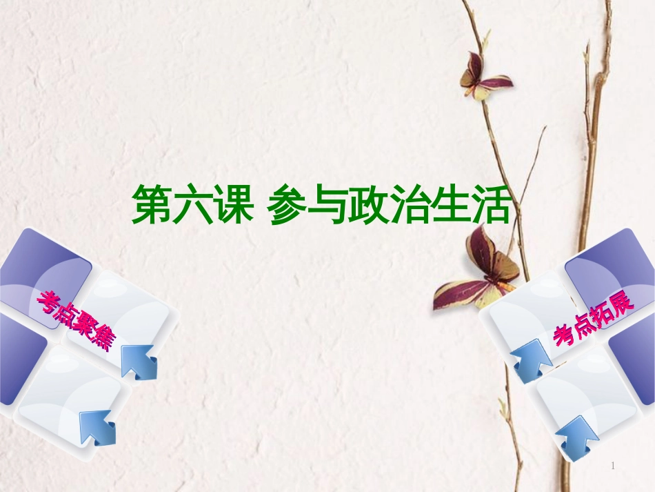 （呼和浩特专版）中考政治复习方案 第三部分 九全 第六课 参与政治生活课件_第1页