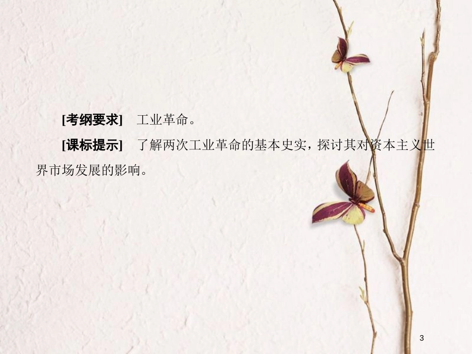 2019版高考历史一轮总复习 第七单元 资本主义世界市场的形成和发展 22 两次工业革命与世界市场的形成课件 新人教版_第3页