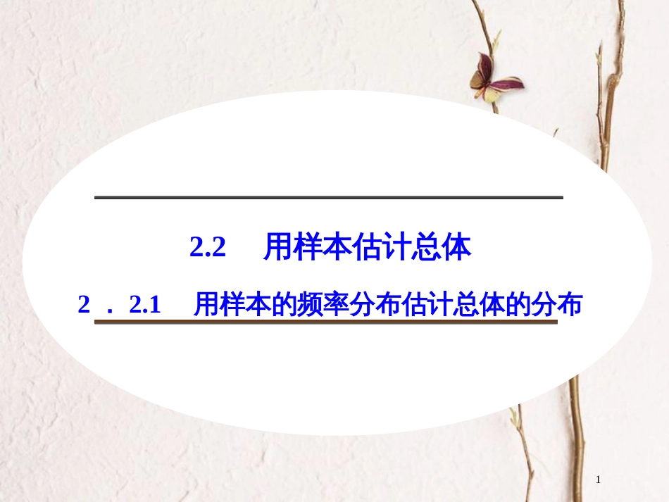 高中数学 第二章 统计 2.2.1 用样本的频率分布估计总体的分布课件 新人教B版必修3_第1页