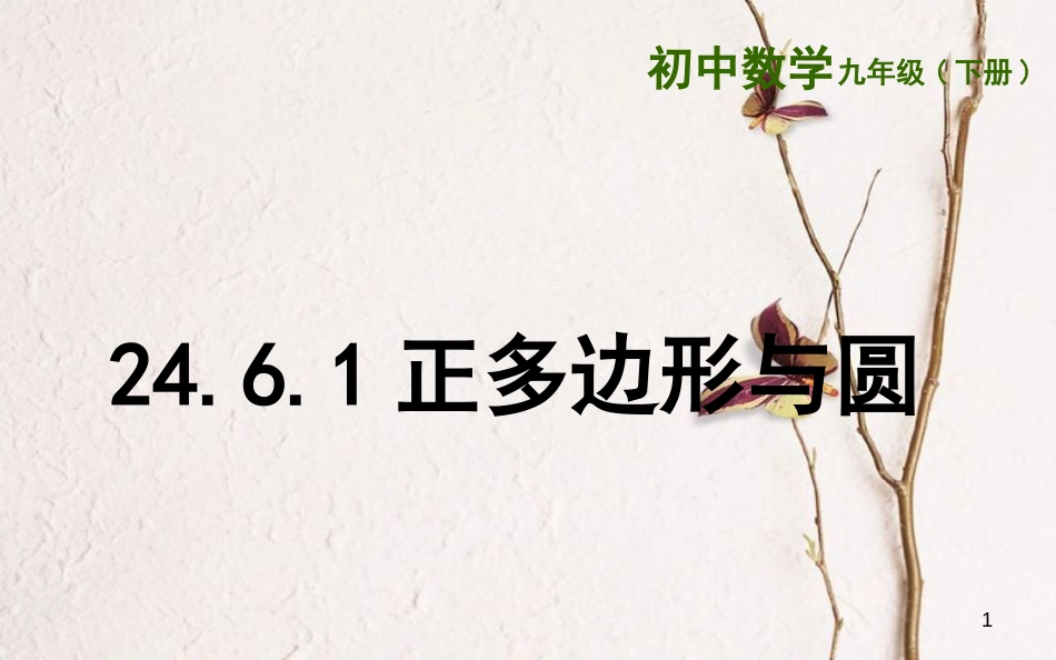 上海市金山区山阳镇九年级数学下册 24.6 正多边形与圆 24.6.1 正多边形与圆课件 （新版）沪科版_第1页