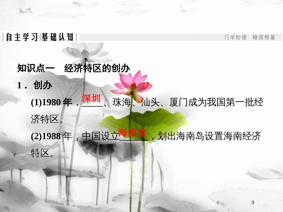 高中历史 第四单元 中国特色社会主义建设的道路 第13课 对外开放格局的初步形成课件 新人教版必修2_第3页