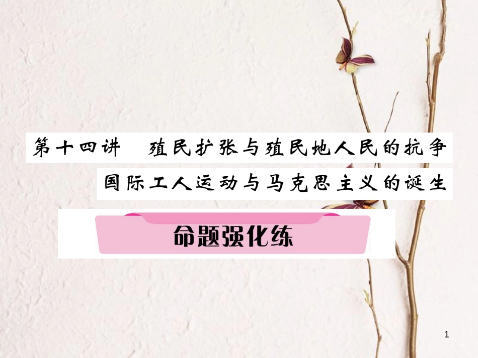 （河北专版）中考历史总复习 第14讲 殖民扩张与殖民地人民的抗争 国际工人运动与马克思主义的诞生命题强化练课件_第1页